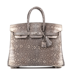 The Ombr Birkin